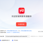 有道翻译支持哪些平台？