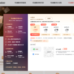 有道翻译支持哪些支付方式？